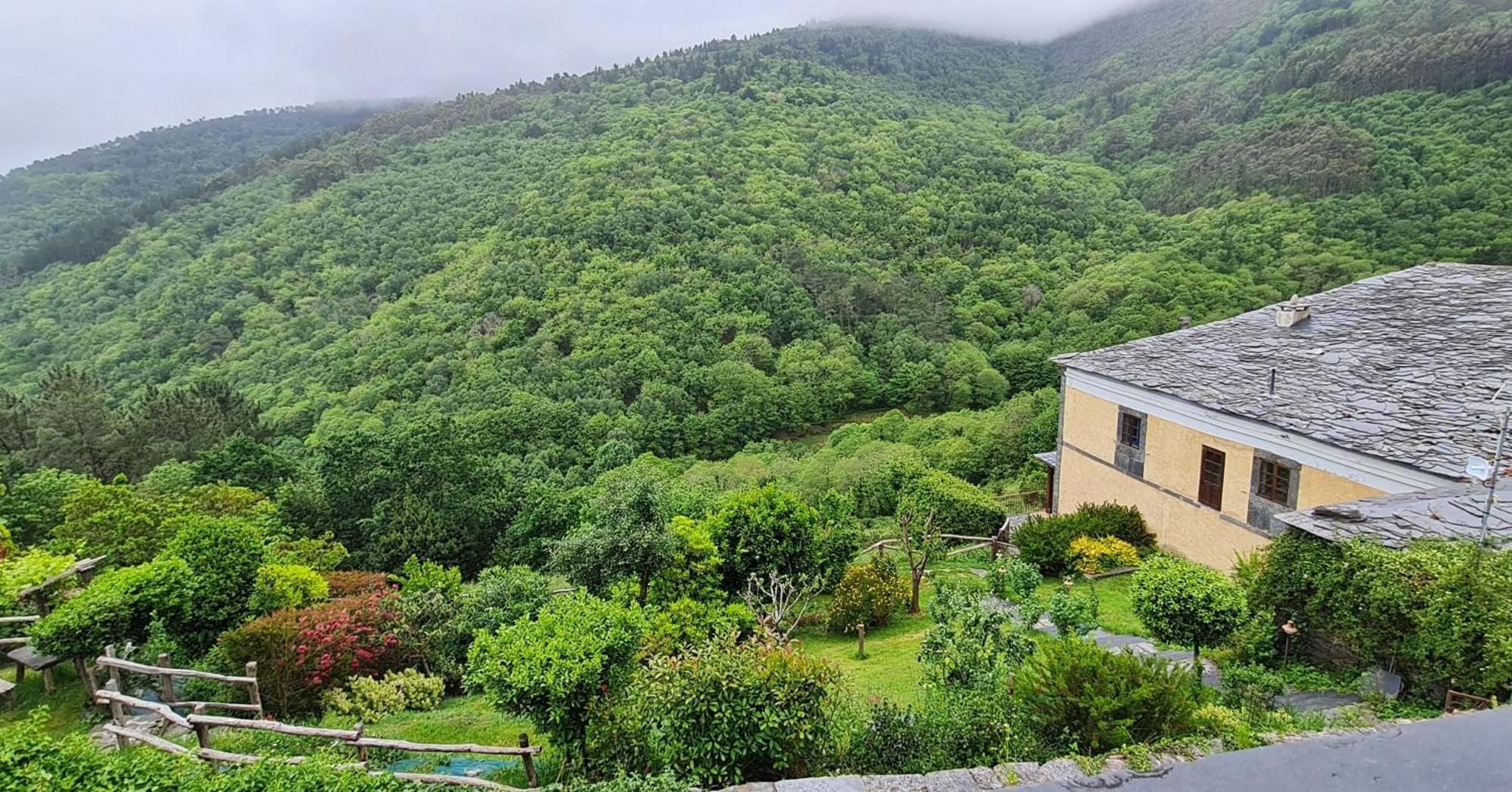 Apartamentos Rurales El Bosque De Las Vinas Boal Kültér fotó