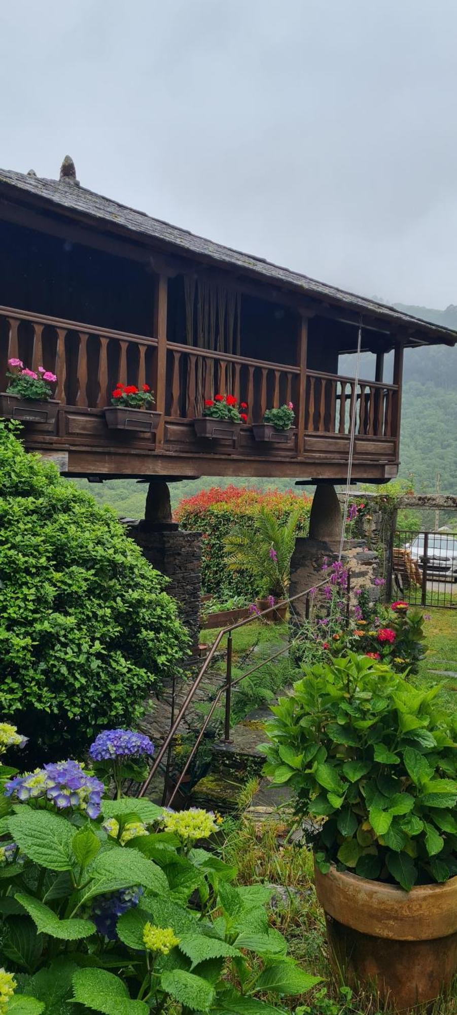 Apartamentos Rurales El Bosque De Las Vinas Boal Kültér fotó