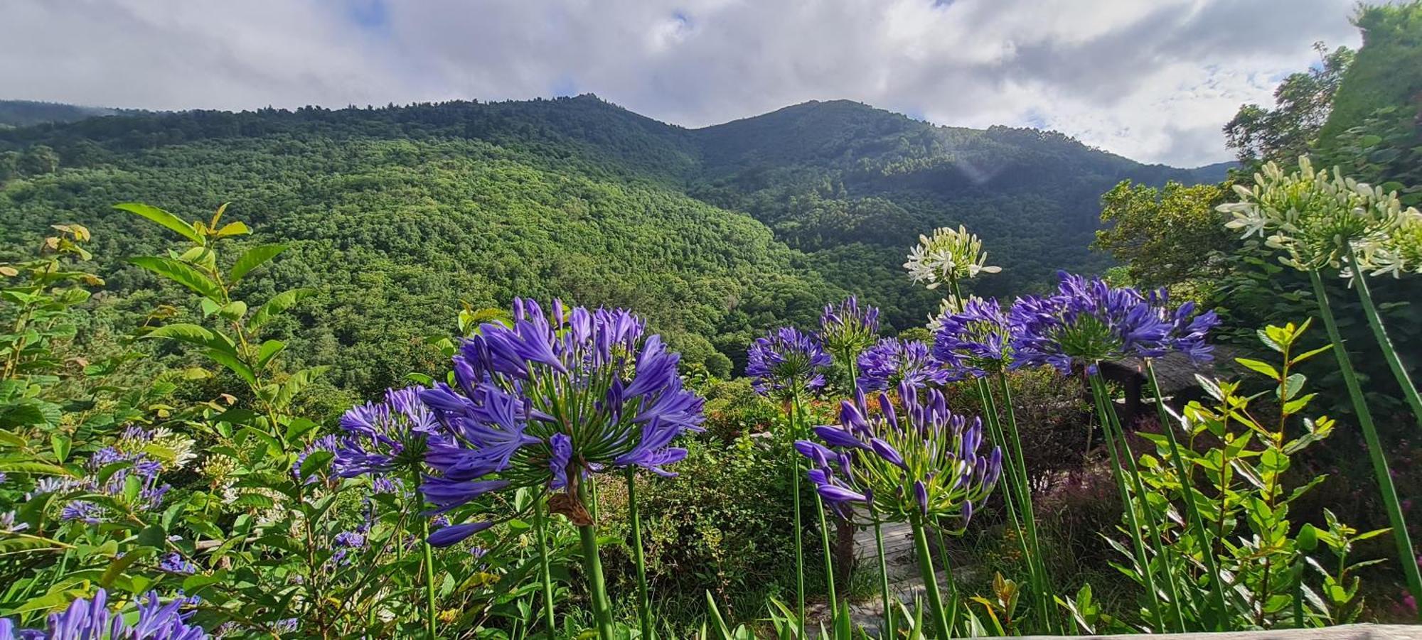 Apartamentos Rurales El Bosque De Las Vinas Boal Kültér fotó
