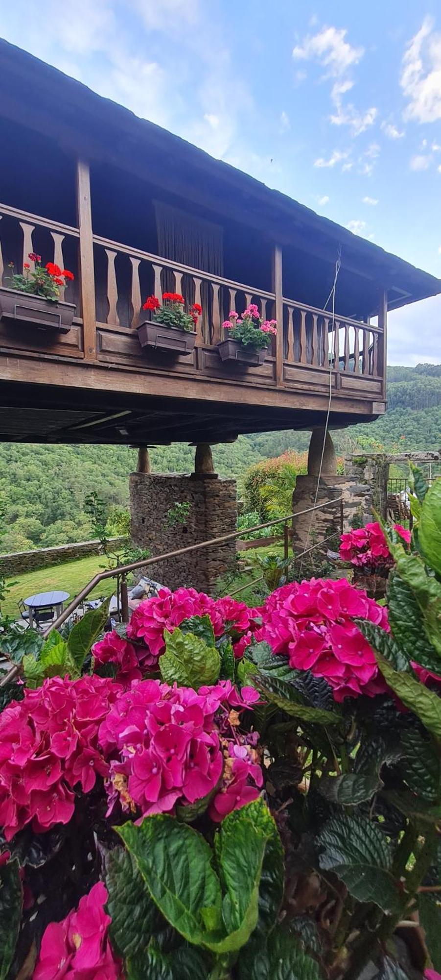 Apartamentos Rurales El Bosque De Las Vinas Boal Kültér fotó