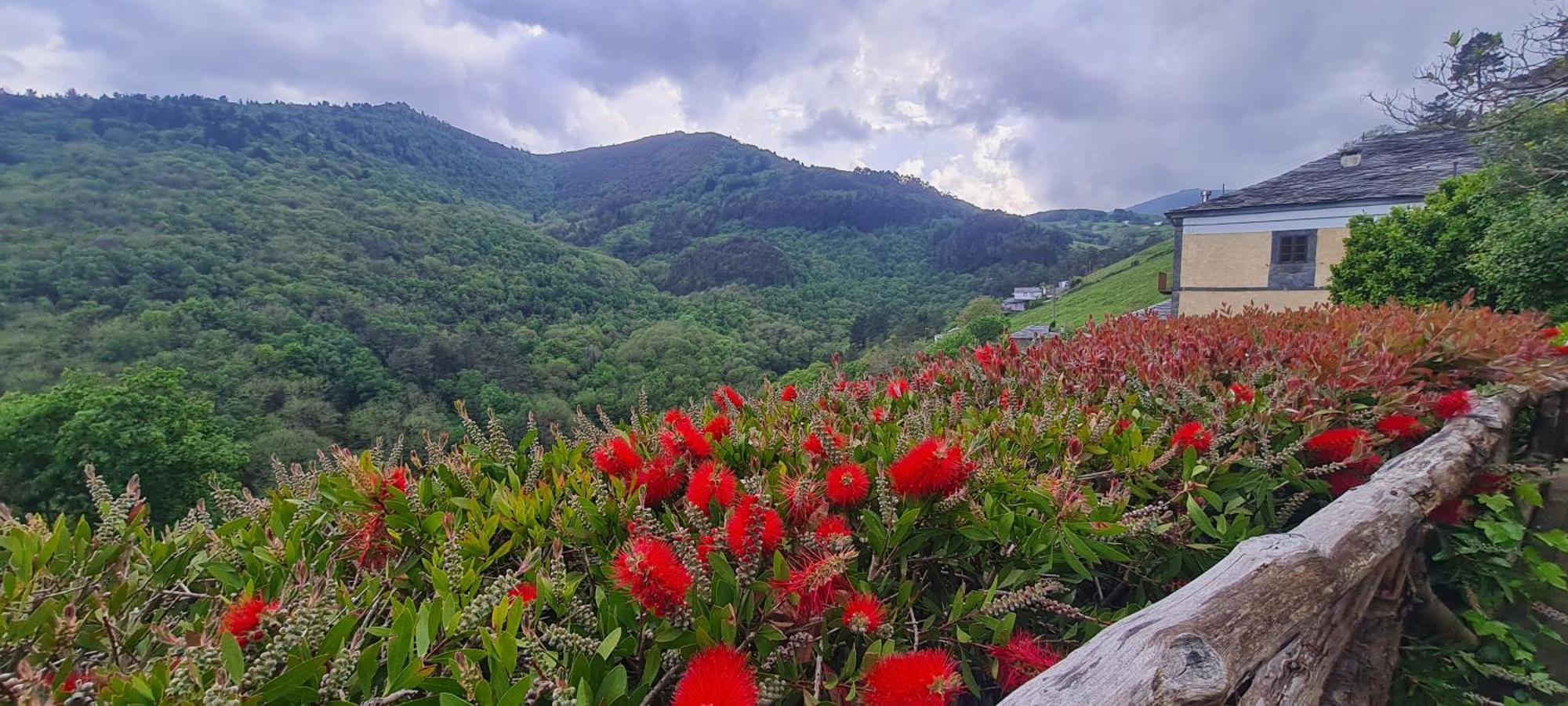 Apartamentos Rurales El Bosque De Las Vinas Boal Kültér fotó